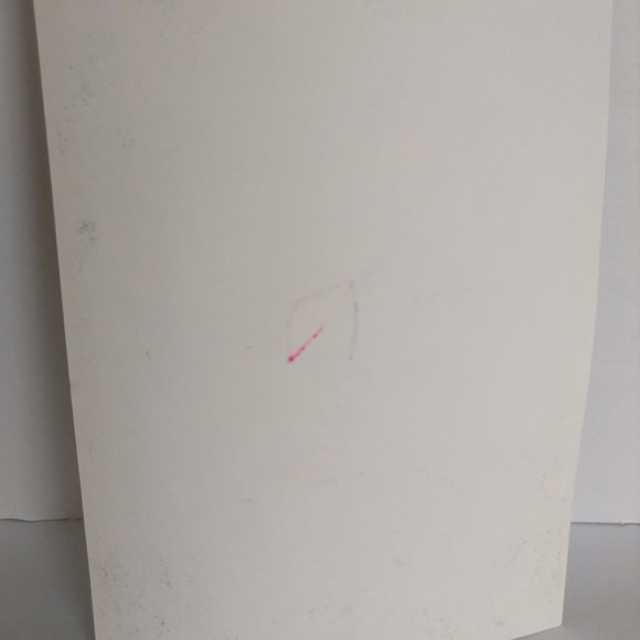 Painting Hummingbird and Flowers Watercolors Ink - Picture 7 of 16